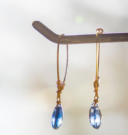 Dana Kellin Kyanite Earrings
