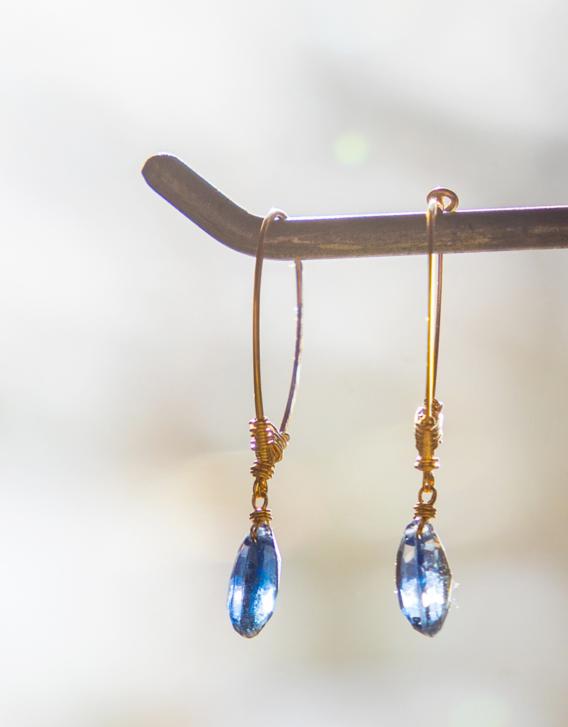 Dana Kellin Kyanite Earrings
