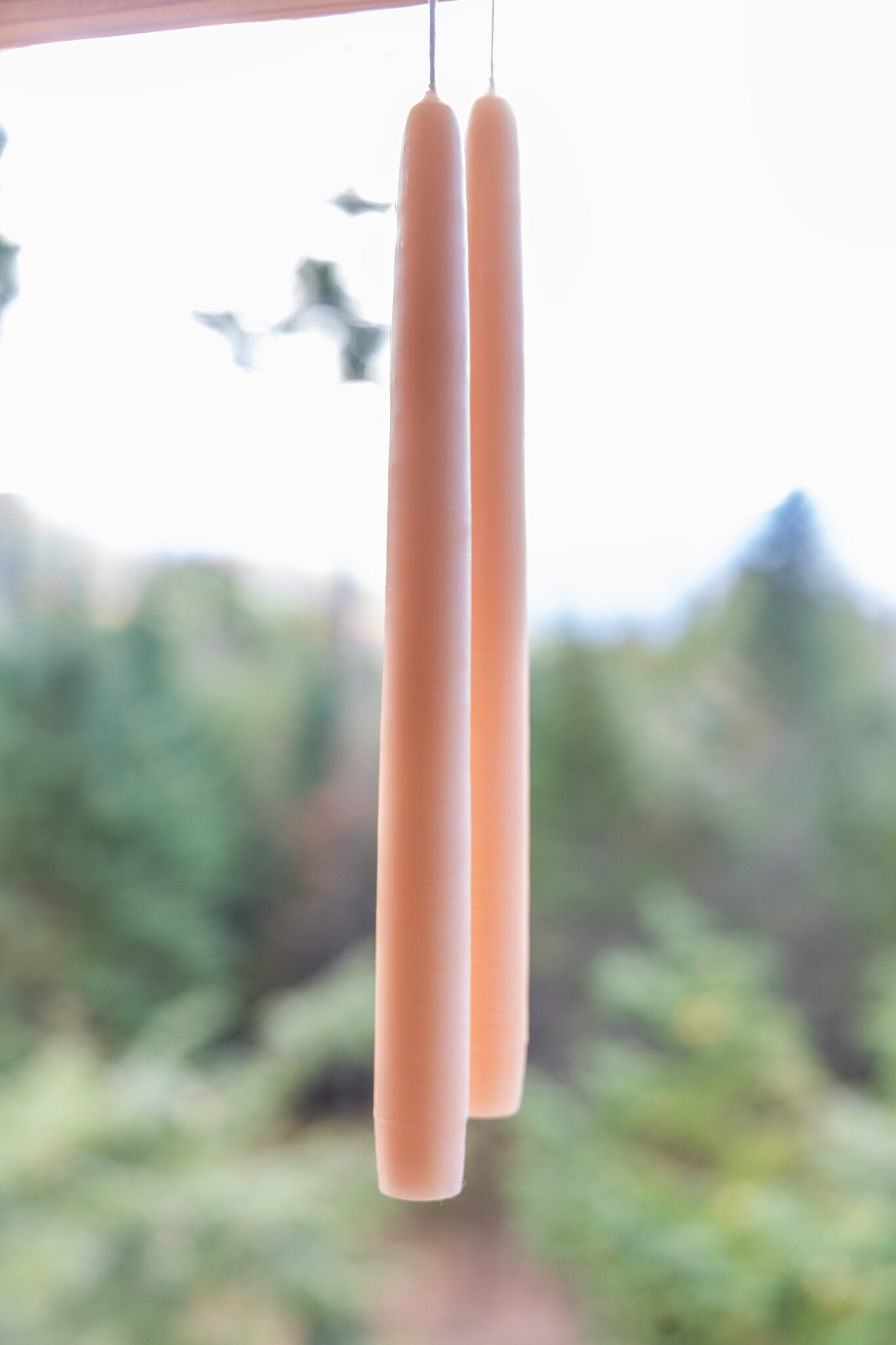 Mole Hollow 10 inch Tapered Candles Set of 2