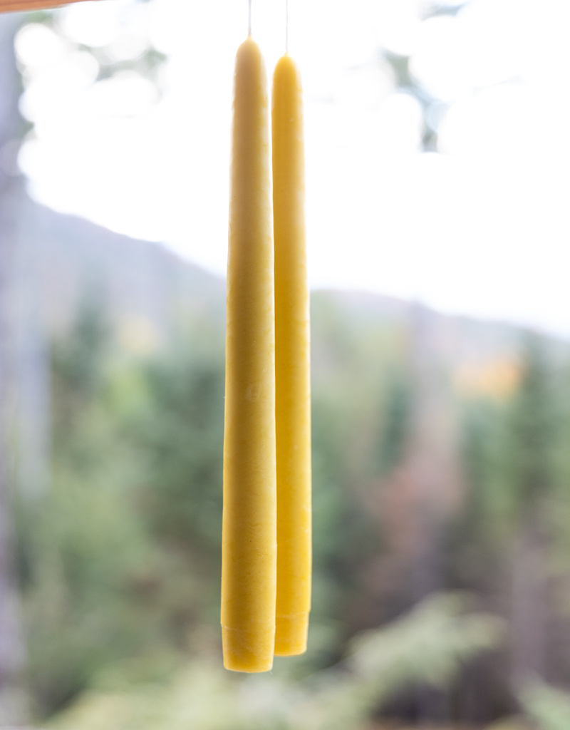 Mole Hollow 10 inch Tapered Candles Set of 2