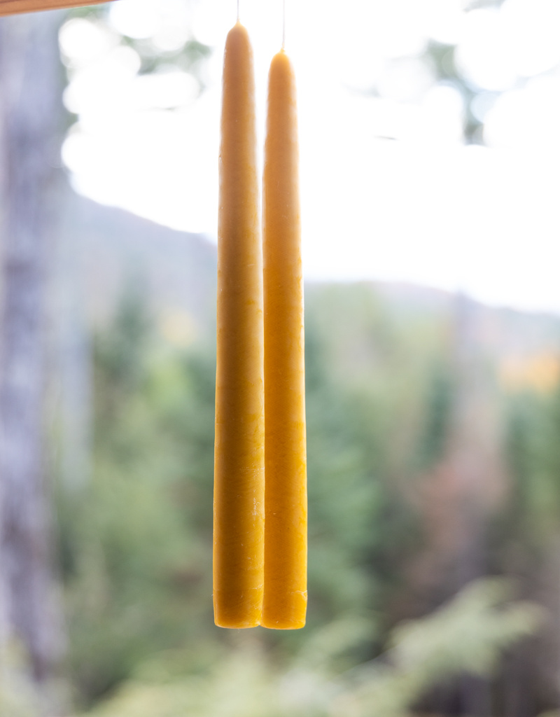 Mole Hollow 10 inch Tapered Candles Set of 2