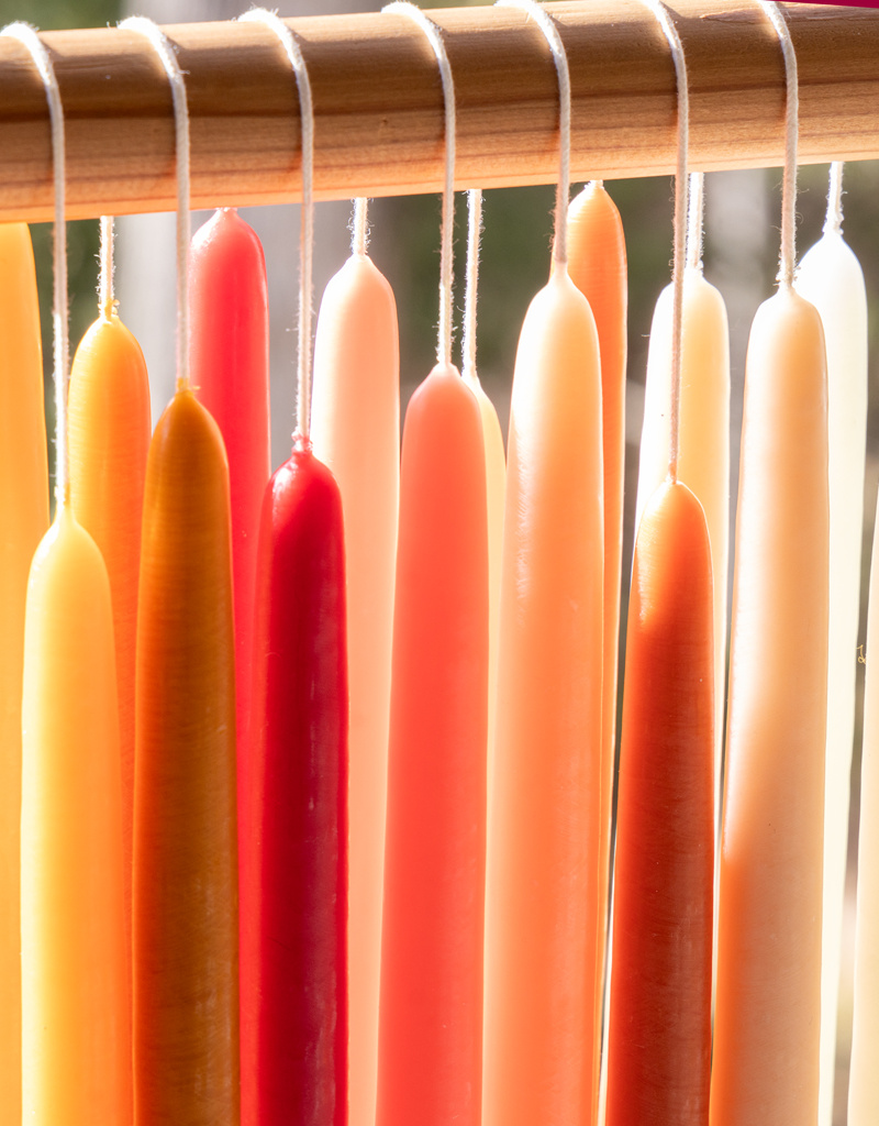 Mole Hollow 10 inch Tapered Candles Set of 2