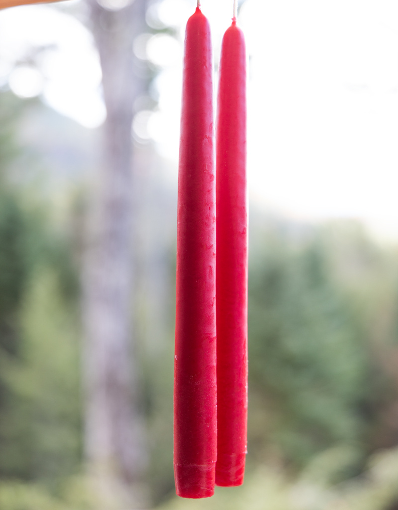 Mole Hollow 10 inch Tapered Candles Set of 2