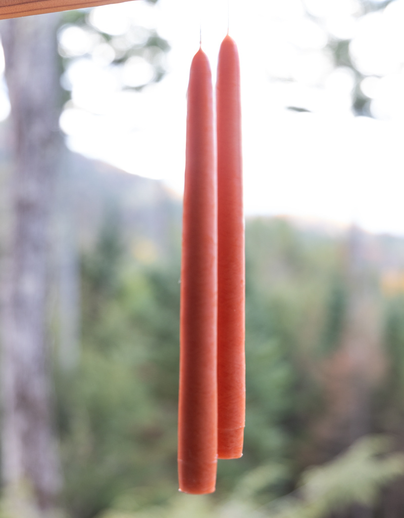 Mole Hollow 10 inch Tapered Candles Set of 2