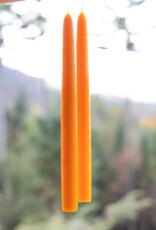 Mole Hollow 10 inch Tapered Candles Set of 2