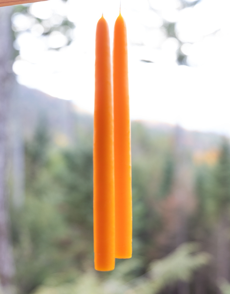 Mole Hollow 10 inch Tapered Candles Set of 2