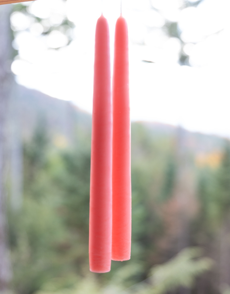 Mole Hollow 10 inch Tapered Candles Set of 2