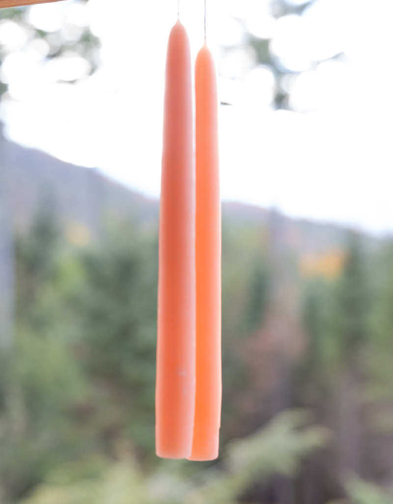 Mole Hollow 10 inch Tapered Candles Set of 2