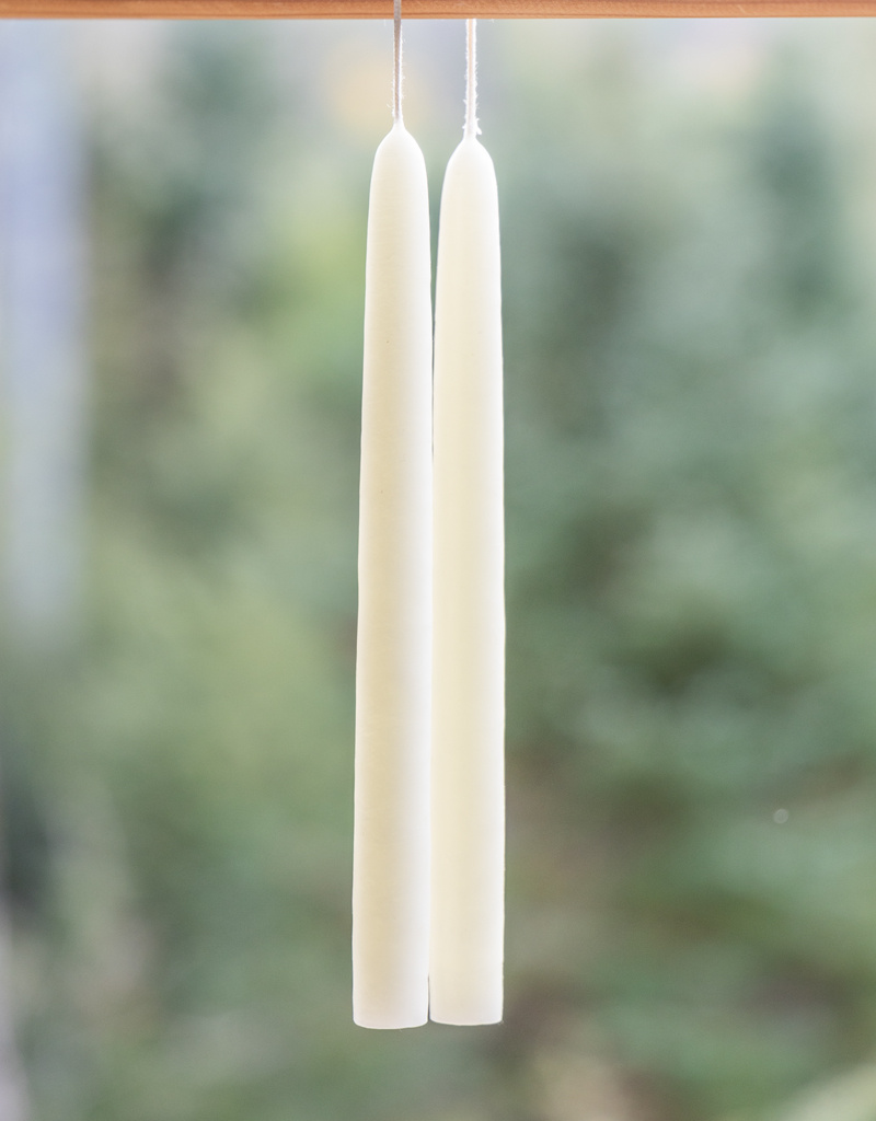 Mole Hollow 10 inch Tapered Candles Set of 2