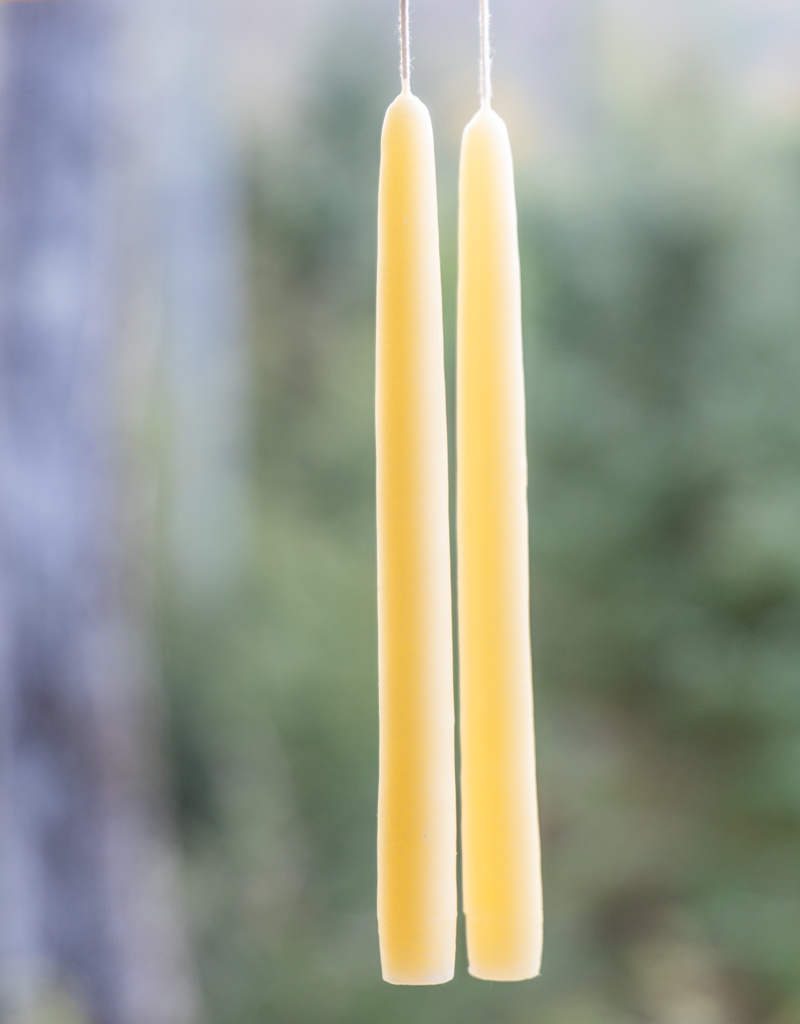 Mole Hollow 10 inch Tapered Candles Set of 2