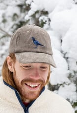 Bird Collective Bird Collective Raven Corduroy Hat