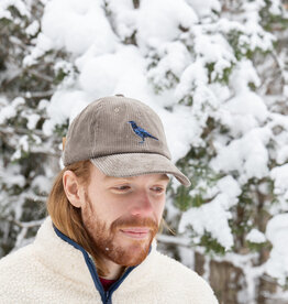 Bird Collective Bird Collective Raven Corduroy Hat
