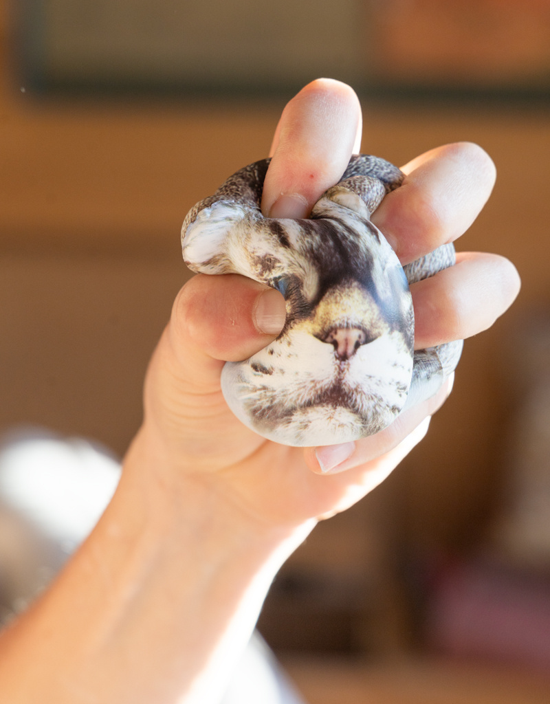 Kikkerland Squishy Kitty Stress Ball
