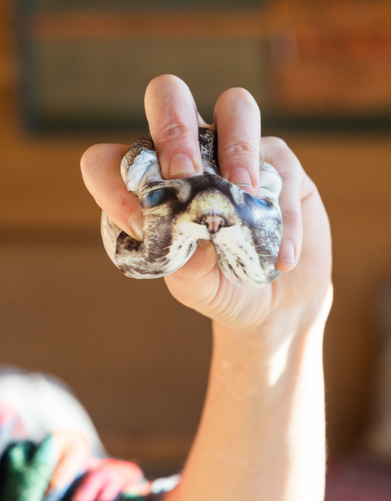 Kikkerland Squishy Kitty Stress Ball