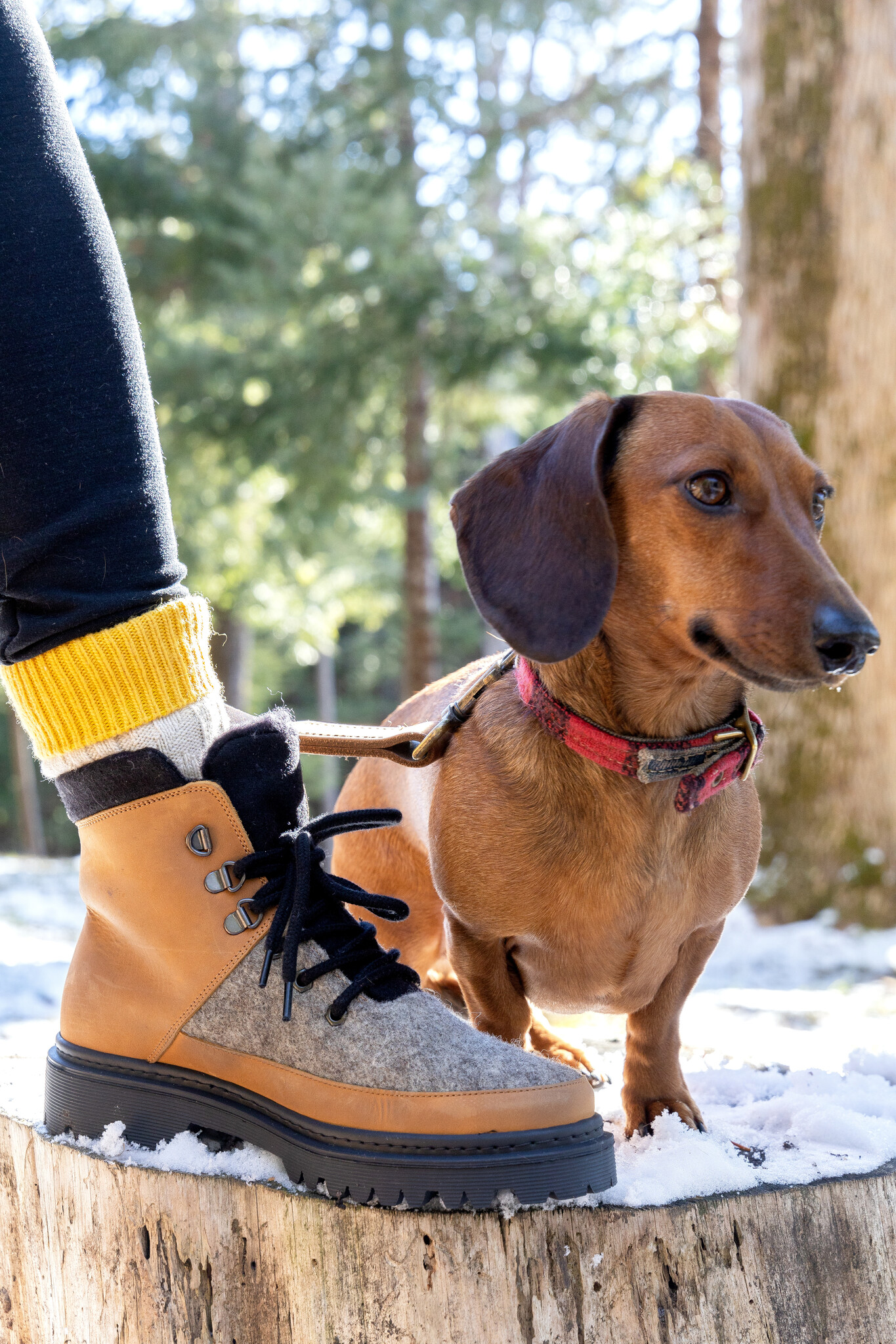 Baabuk Baabuk Ice Wonder Boots