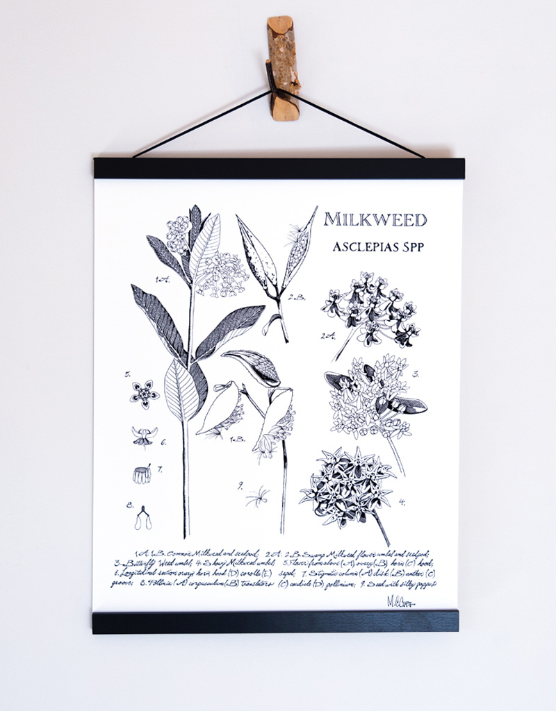 Marcie Cuff Local Artist Print with Magnet Frame