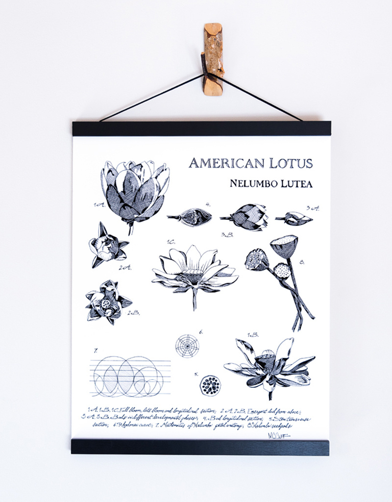 Marcie Cuff Local Artist Print with Magnet Frame