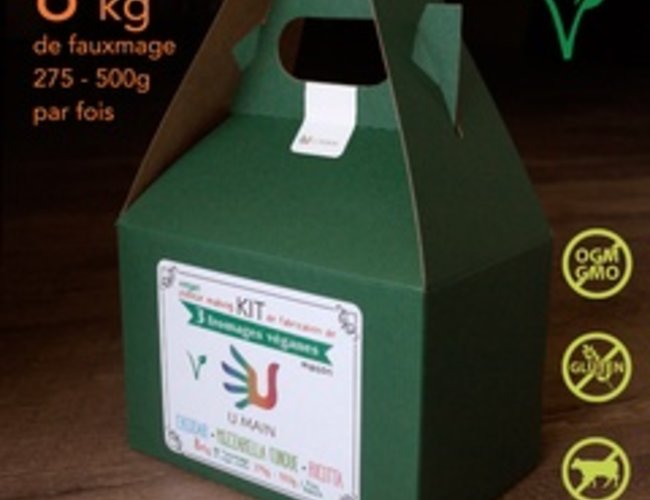 kits de fromage artisanal maison Mozarella et paneer