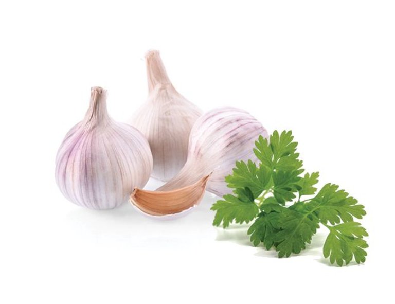 Sous les Oliviers Garlic Cilantro EVOO