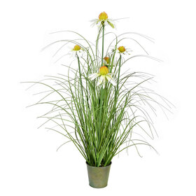 Green Daisy Grass in Iron Pot 24"