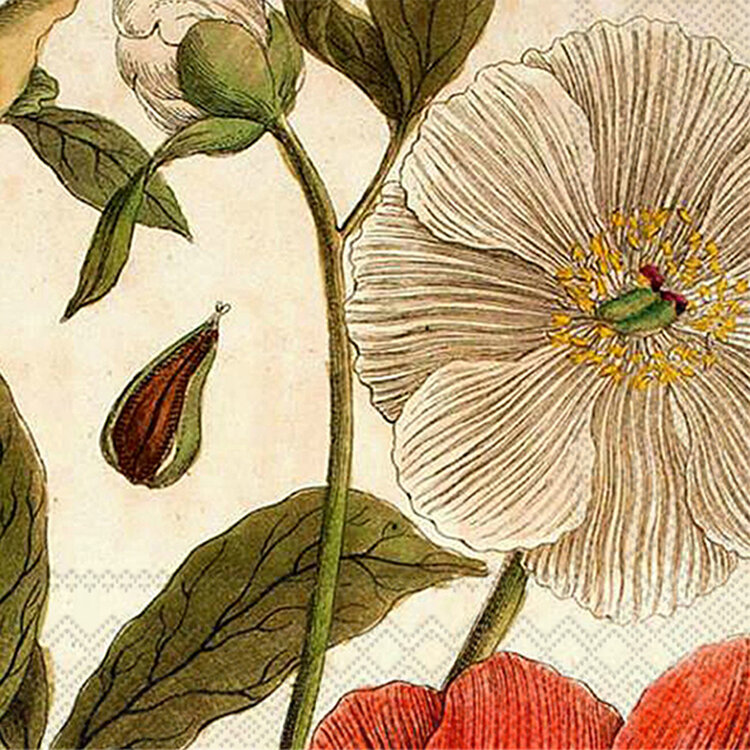 Paper Cocktail Napkins Spring