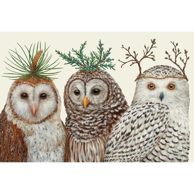 Winter Owls Paper Placemats