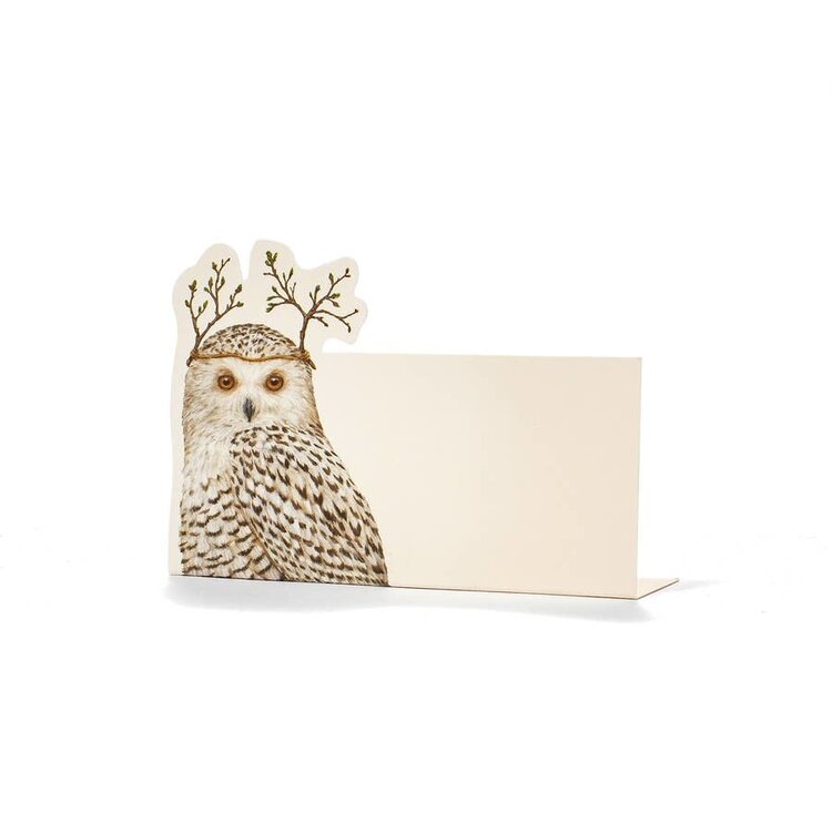 Winter Owl Place Card