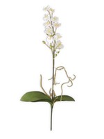 21" White Orchid Stem