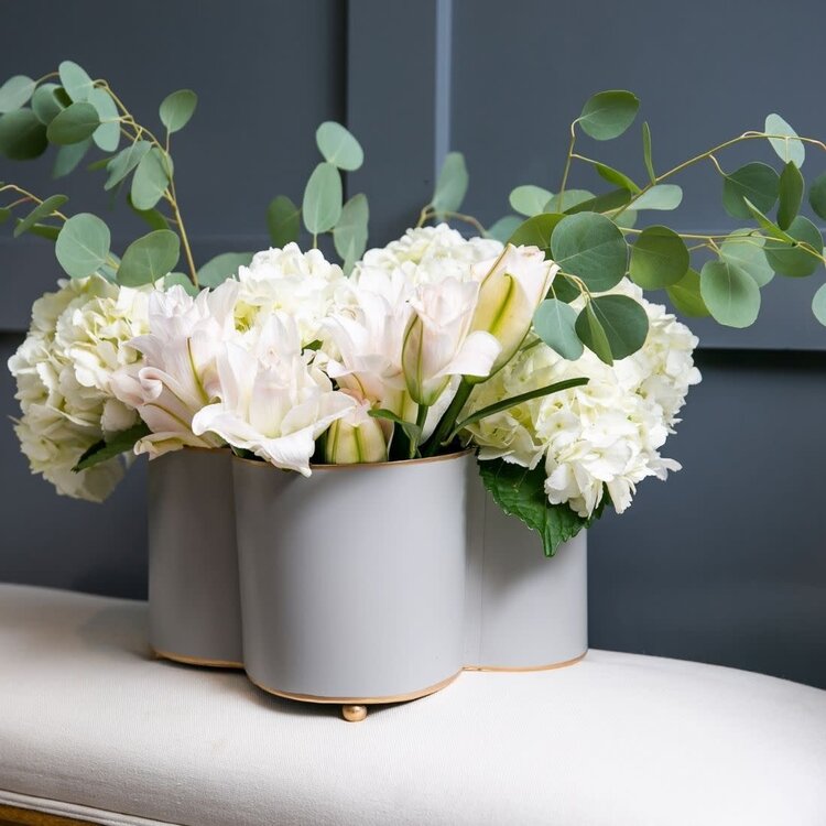 Color Block Quatrefoil Cachepot