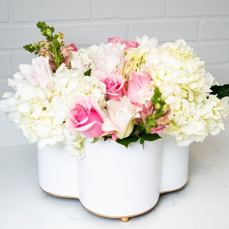 Color Block Quatrefoil Cachepot