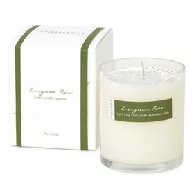 Evergreen Pine 9oz Candle