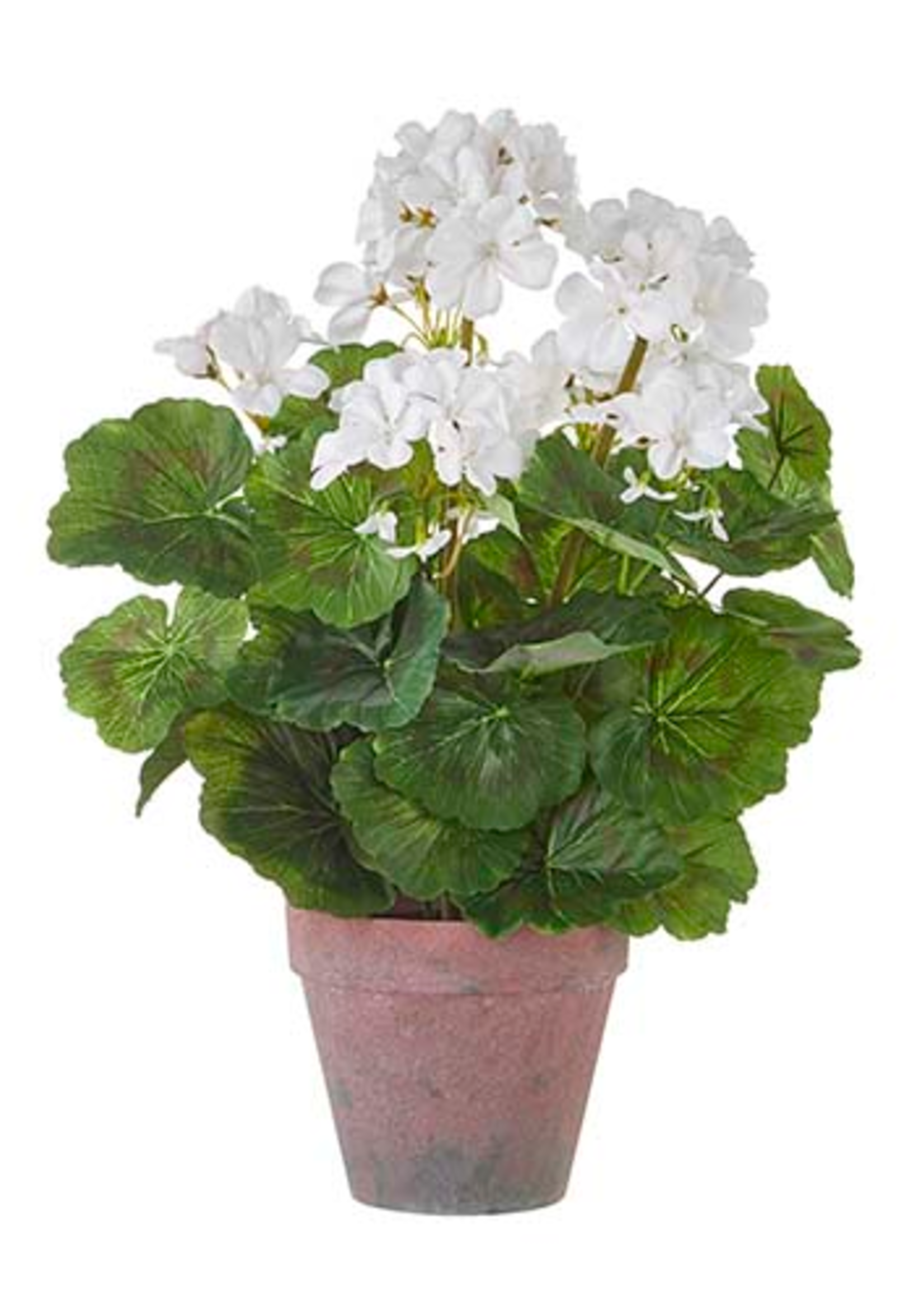 White Potted Geranium 16.5"