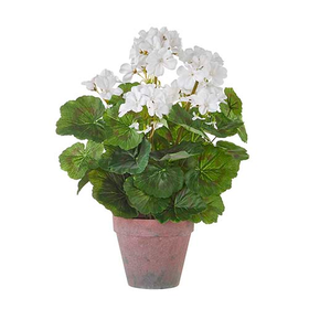White Potted Geranium 16.5"