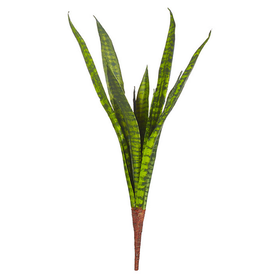 Snake Plant Stem 23"