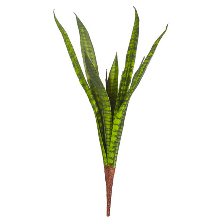 Snake Plant Stem 23"