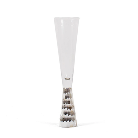Champagne Glass Silver base