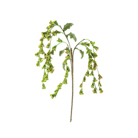 Weeping Flower Stem - Bot 3195