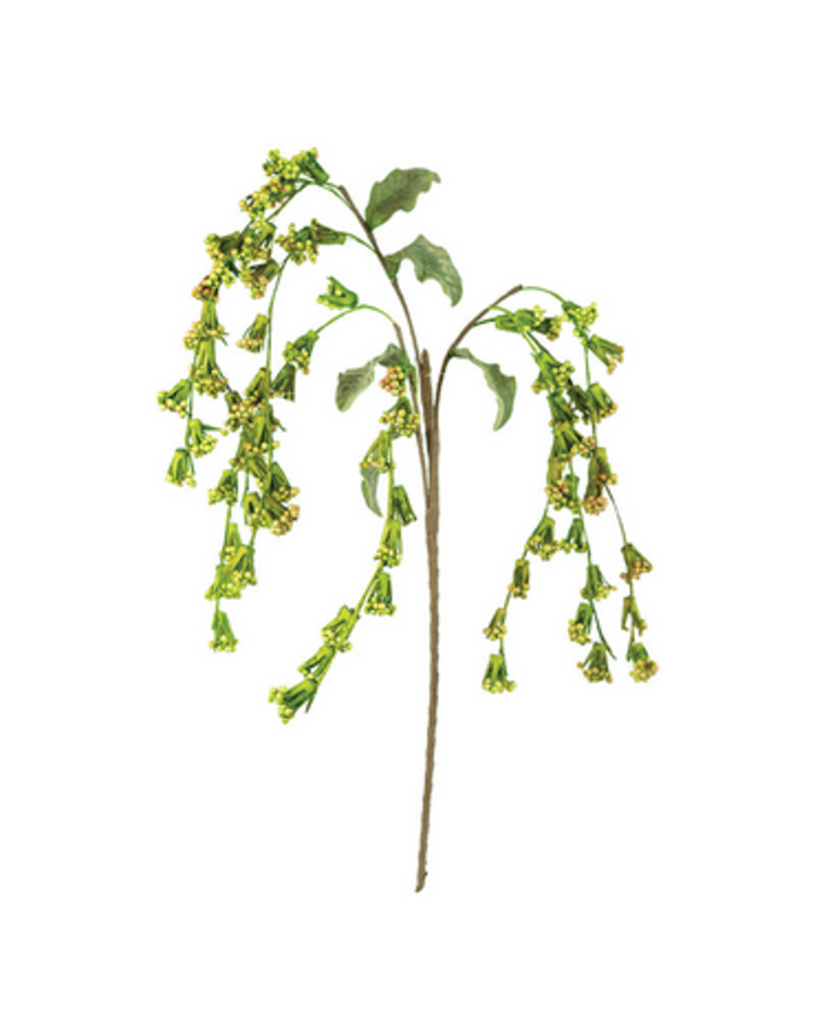 Weeping Flower Stem - Bot 3195