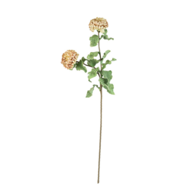 Long Stem Floral - Bot 3184