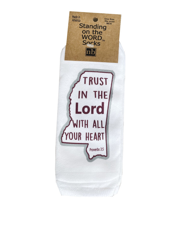 Standing on the Word Mens Socks