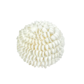 Clamrose Sea Shell Fill Ball