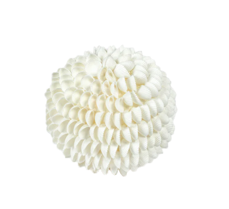 Clamrose Sea Shell Fill Ball