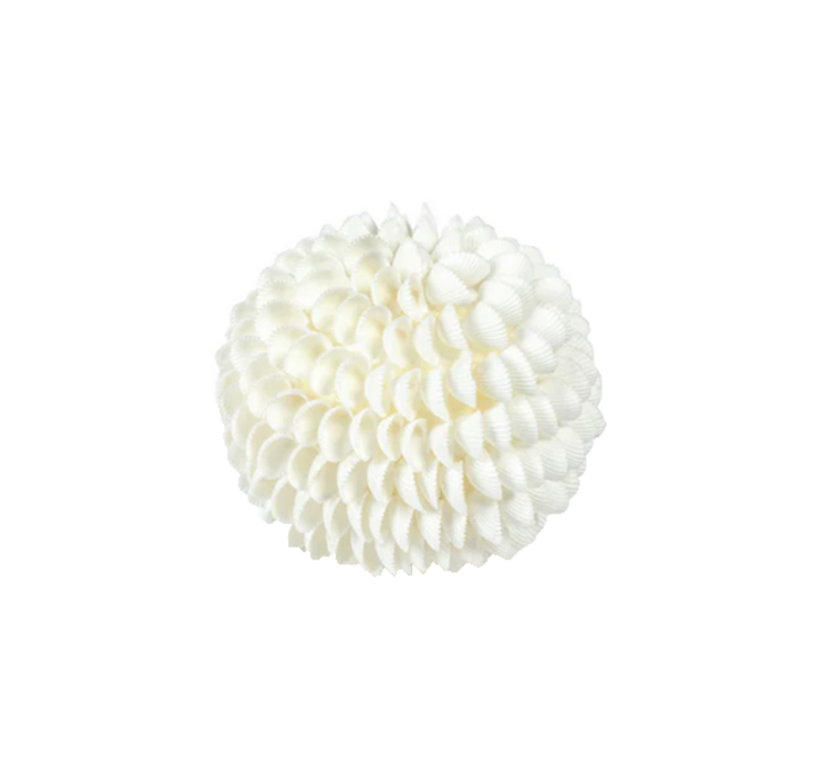 Clamrose Sea Shell Fill Ball