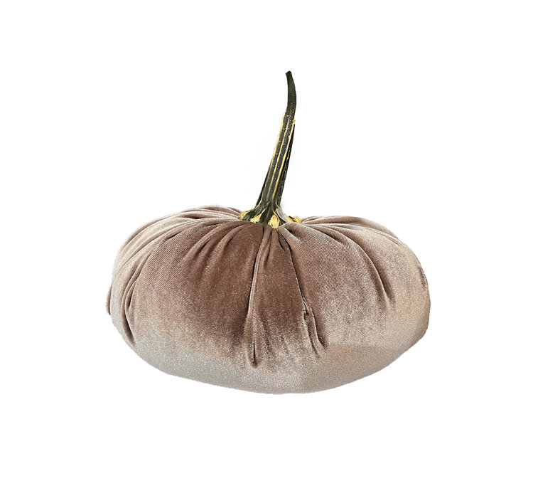 XL Velvet Pumpkins
