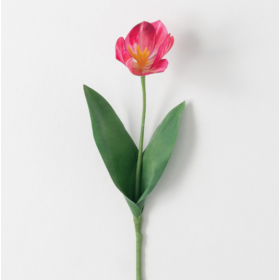 Tulip Stem Real Garden 14”