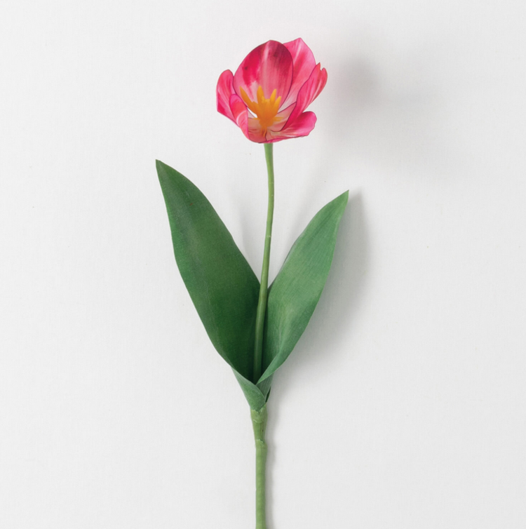 Tulip Stem Real Garden 14”