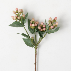 Hypericum Spray 19”