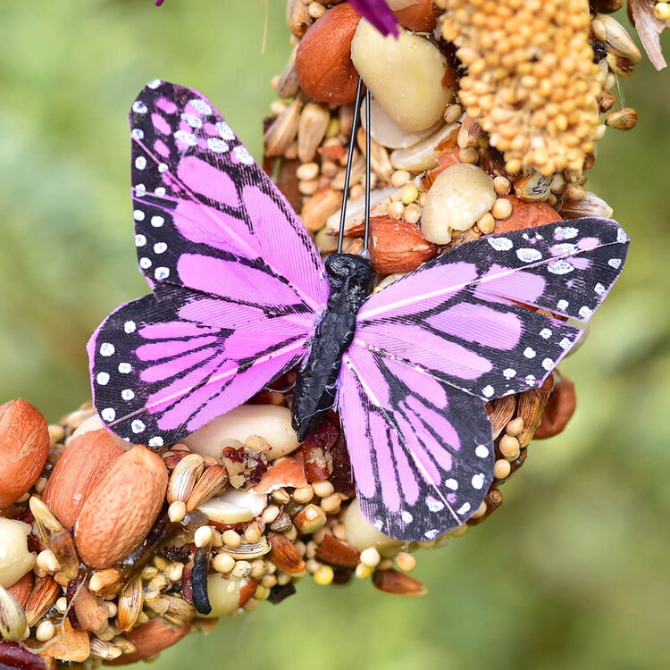 Mr Bird Wreath Feeder