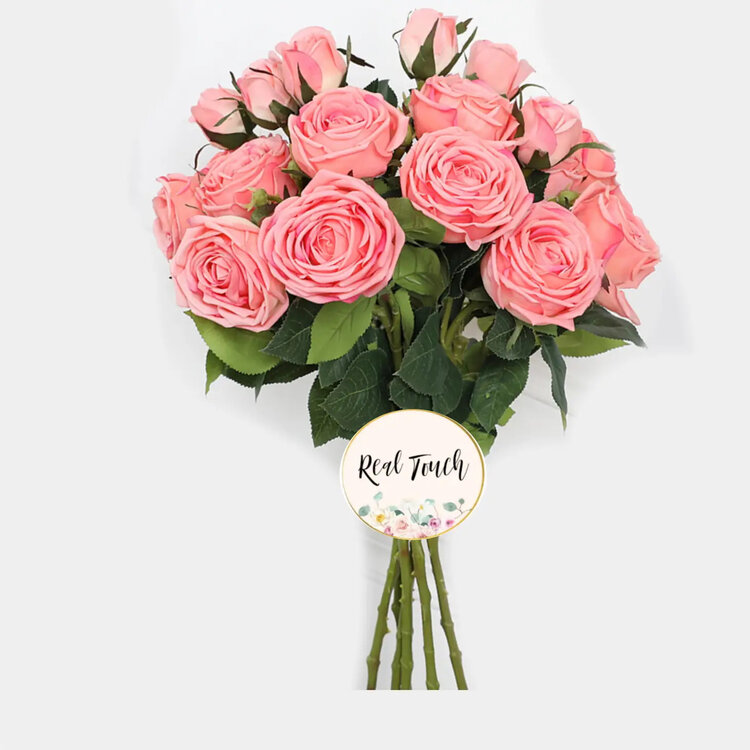 Coral English Cabbage Rose