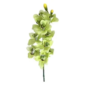 36" Soft Green Cymbidium Orchid